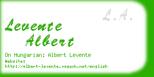 levente albert business card